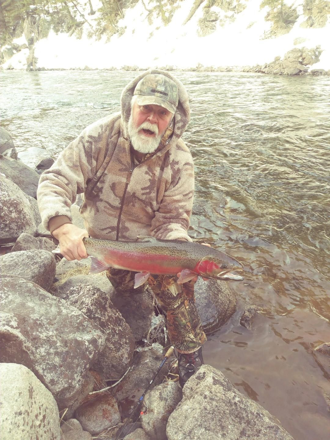 Your photos: Fish
